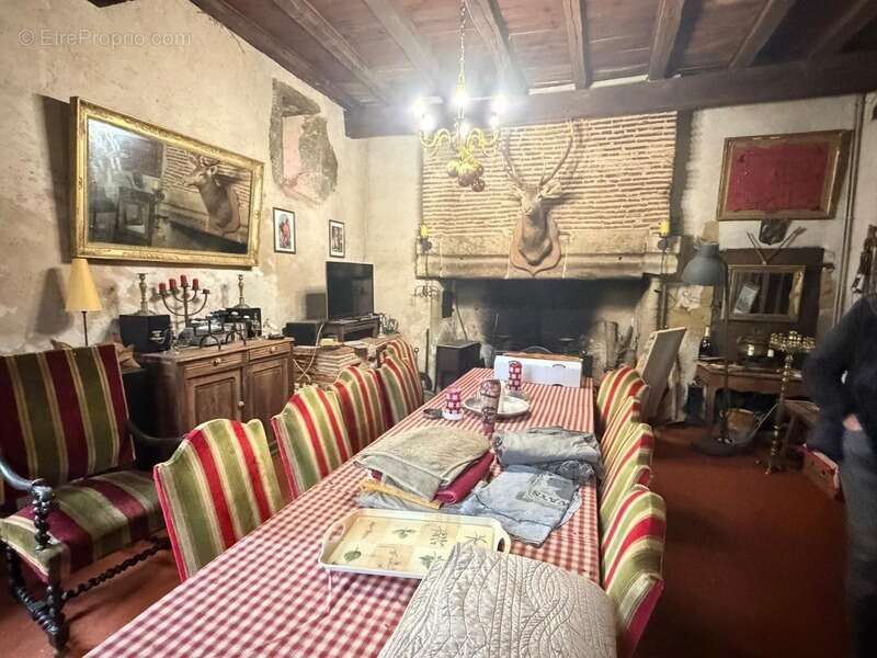MARCIAC(32): ancienne SEIGNEURIE avec BEAU CHATEAU XIV sur 3,5ha, cachée, au bout du chemin, sans voisin, en campagne, 500m2 hab - photo 63