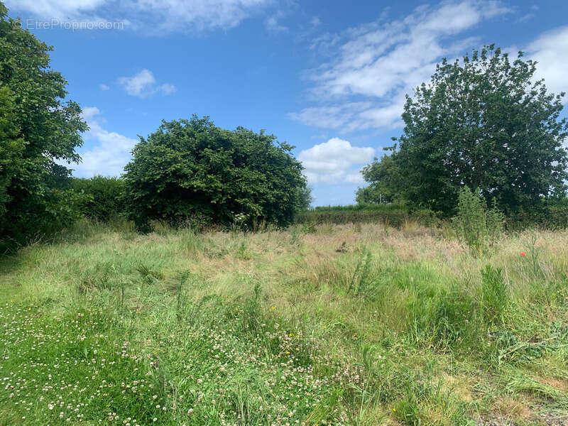 Maison à SAINT-ALBAN