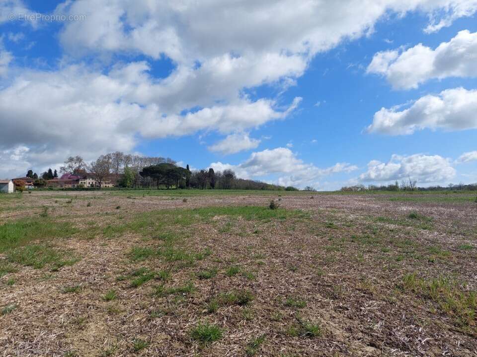 Terrain à VERFEIL