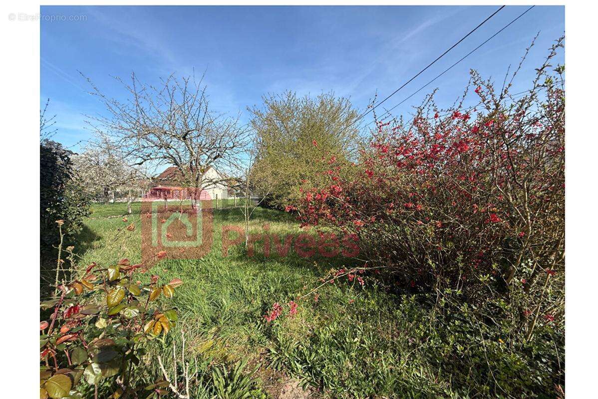 Maison à COSNE-COURS-SUR-LOIRE