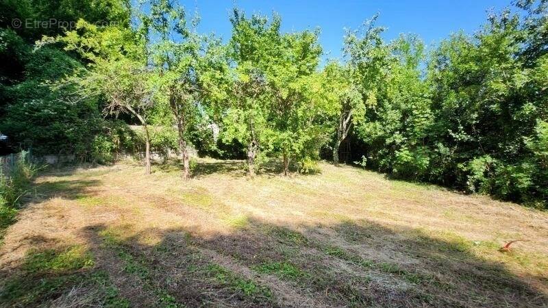 Terrain à MACHEMONT
