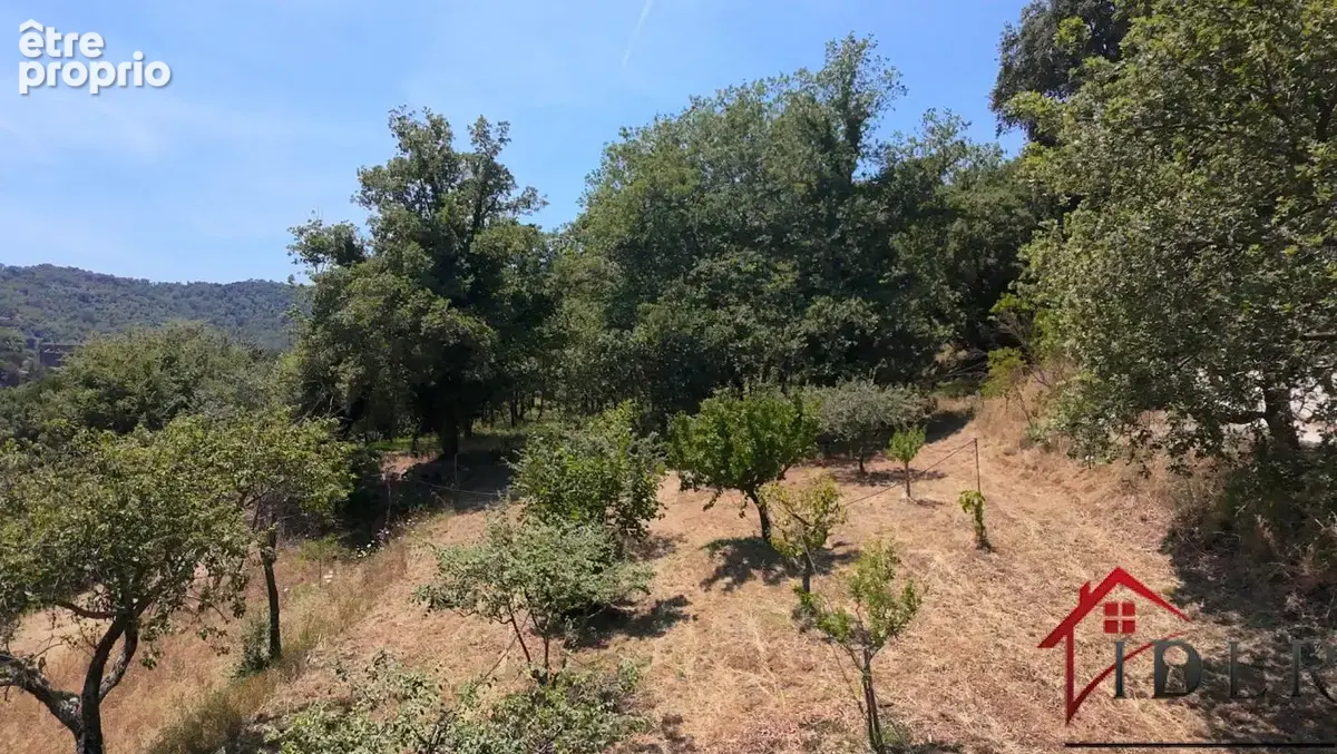 Terrain à COLLOBRIERES