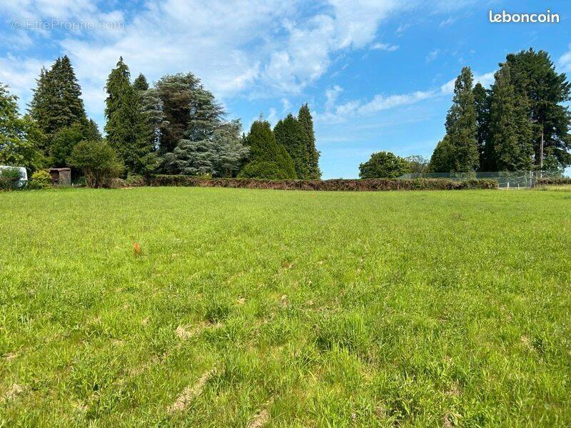 Terrain à COULON
