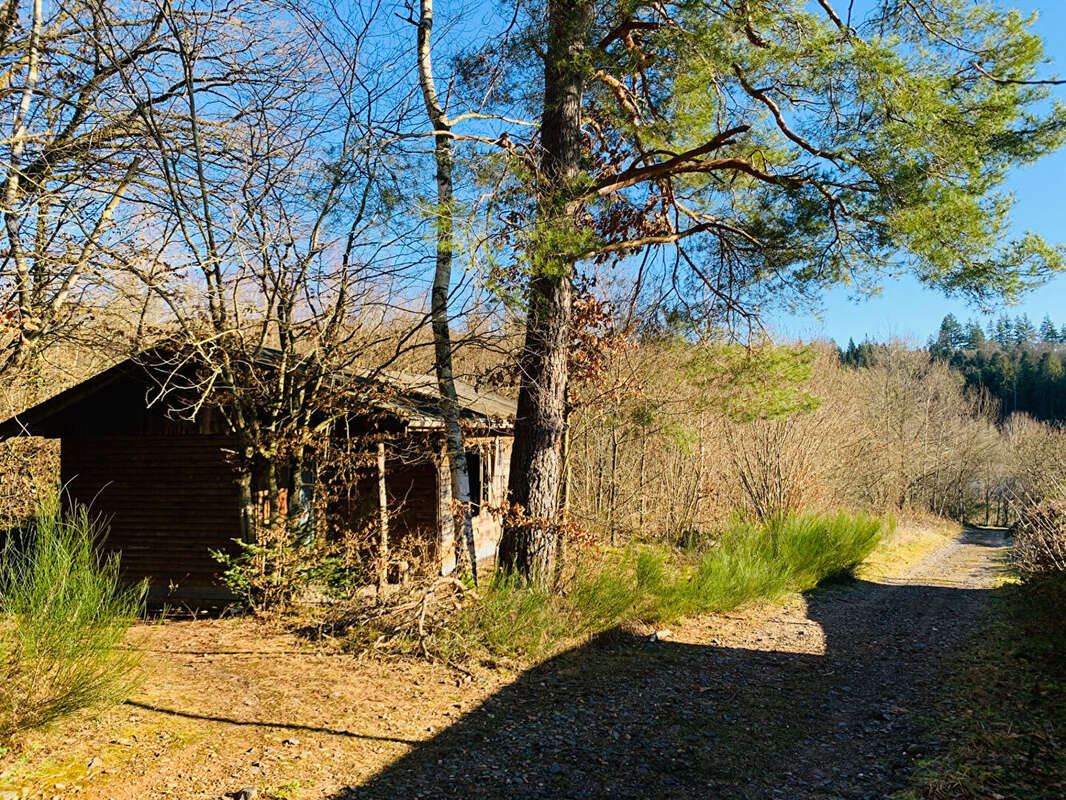 Terrain à BERTRICHAMPS