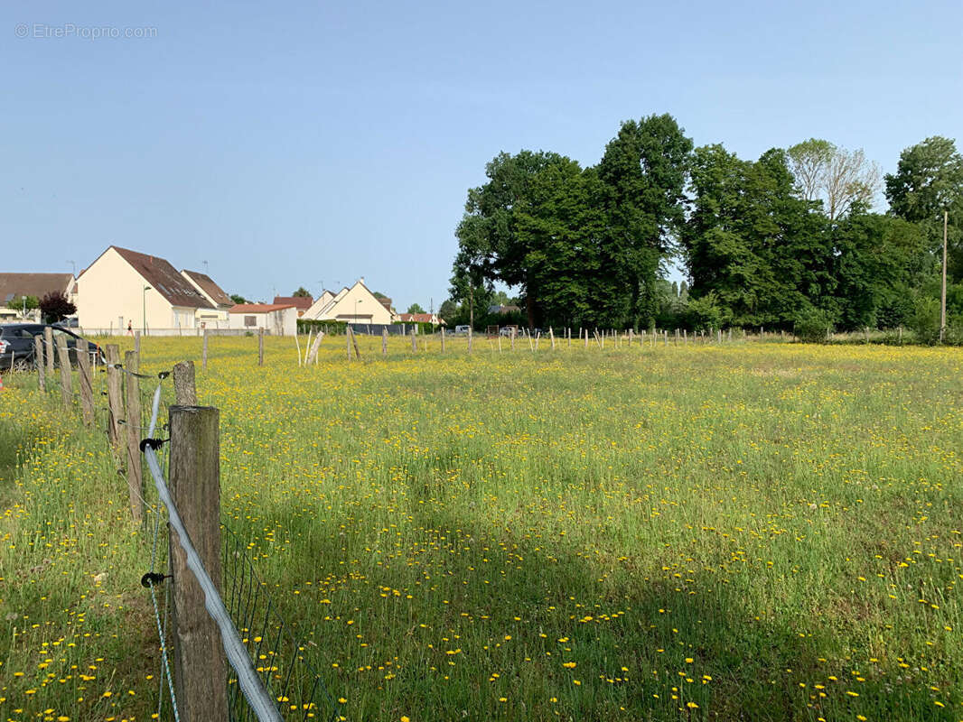 Terrain de loisirs Athies Sous Laon - photo 4