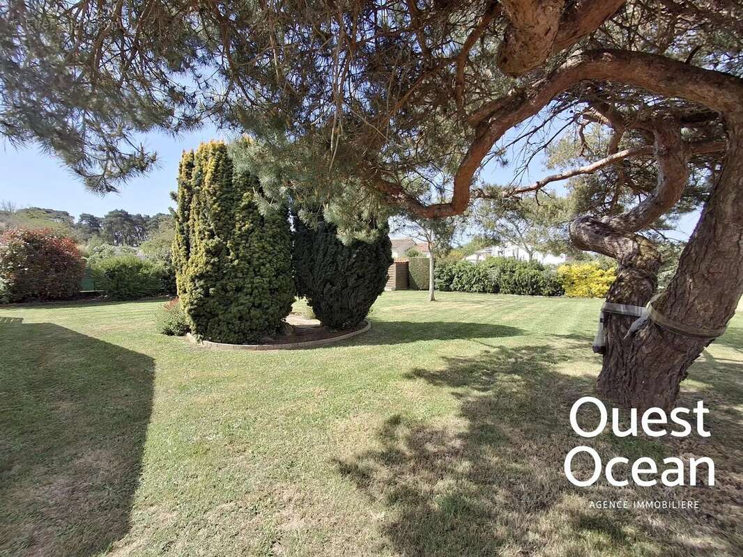 Terrain à JARD-SUR-MER
