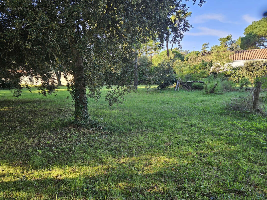 Terrain à SAINT-GEORGES-D&#039;OLERON