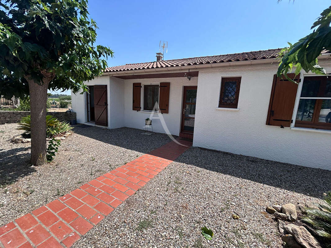 Maison de plain-pied sans travaux avec grand terrain au coeur des vignes - photo 14