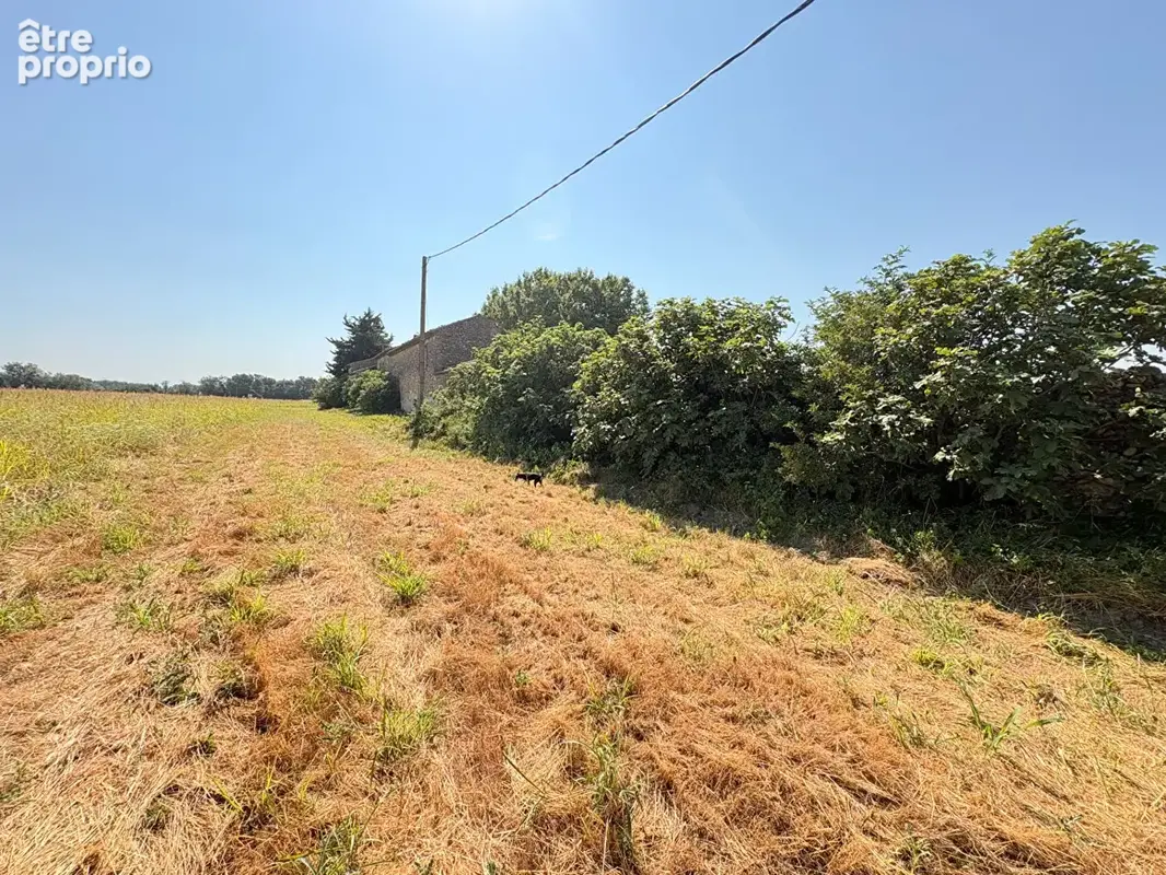 Ferme à restaurer entièrement - Lapalud - 440m² - photo 13