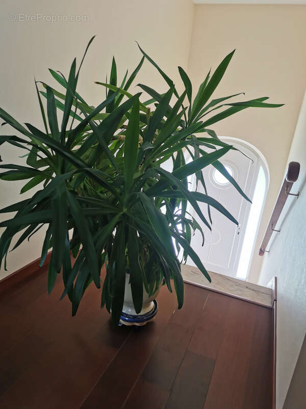 Maison à MURAT-SUR-VEBRE