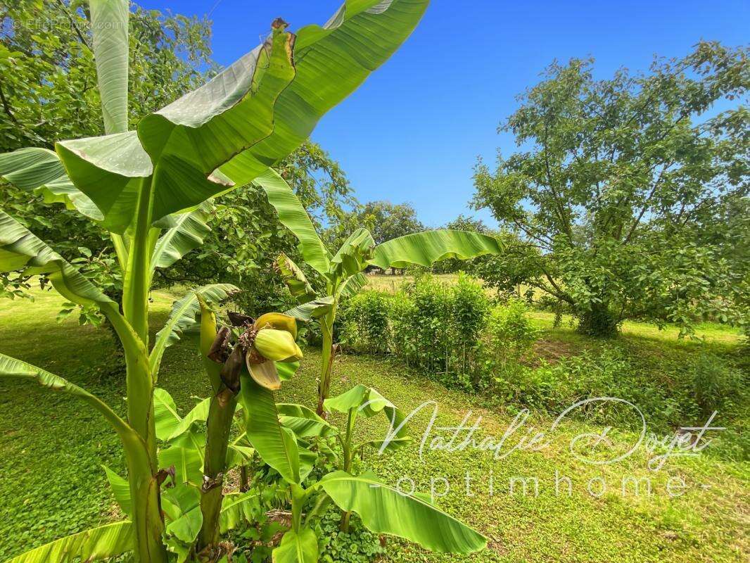 Maison à vendre 6 pièces VIGNEUX HOCQUET (02) - photo 40