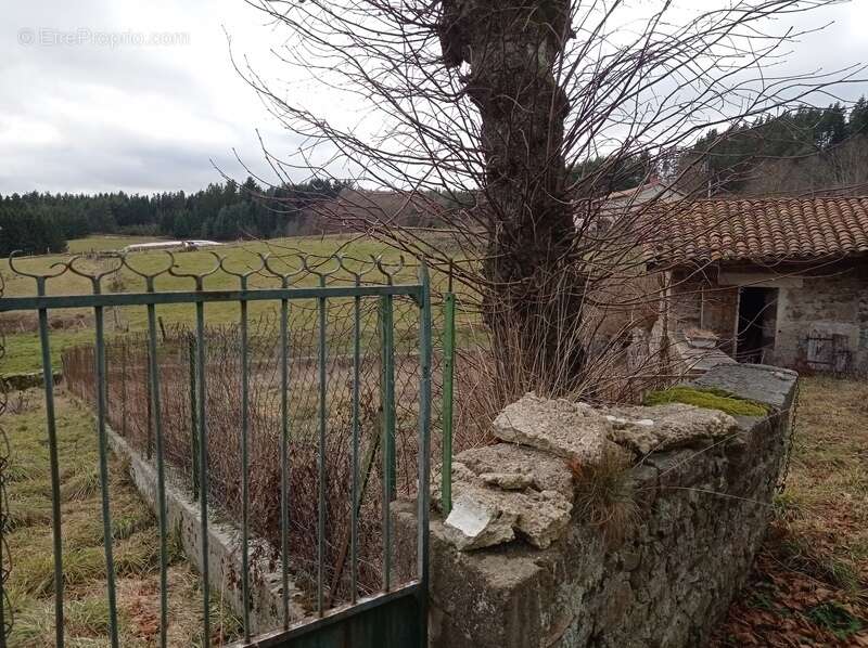 Authentique corps de ferme à vendre 7 pièces SAUVESSANGES (63) de belle surface - photo 17