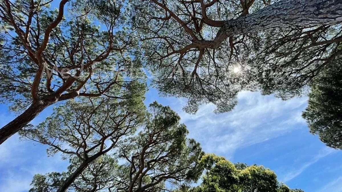 Maison à LA GARDE-FREINET