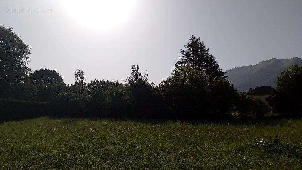 Terrain 1810 m² à Arudy  - photo 2
