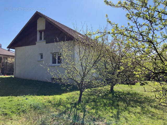 Maison à MONTBELIARD