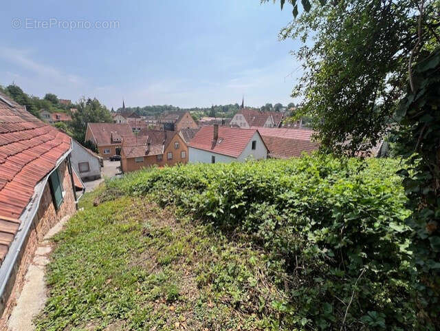 Terrain à NIEDERBRONN-LES-BAINS