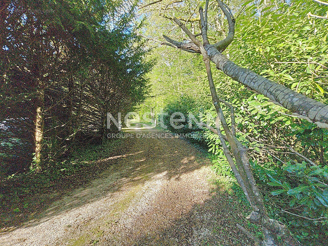 Maison à COUR-CHEVERNY