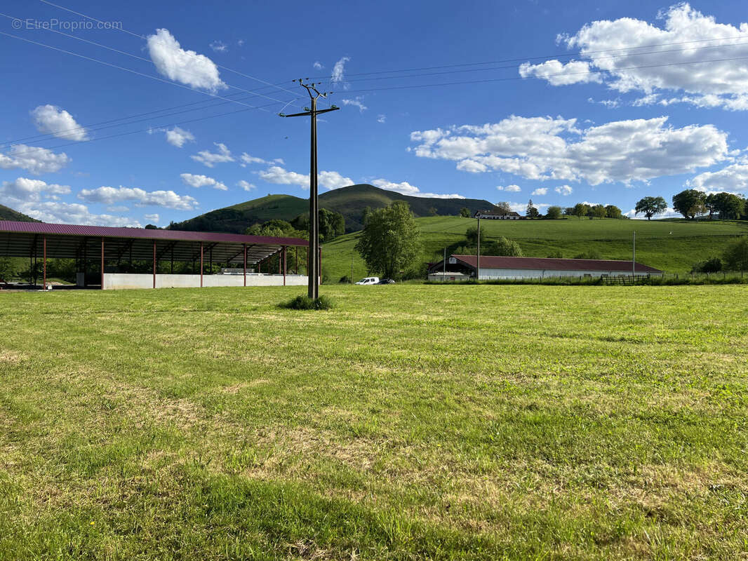 Photo 6 - Terrain à IHOLDY