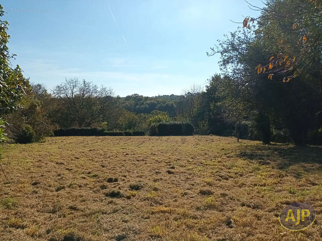 Terrain à QUESTEMBERT