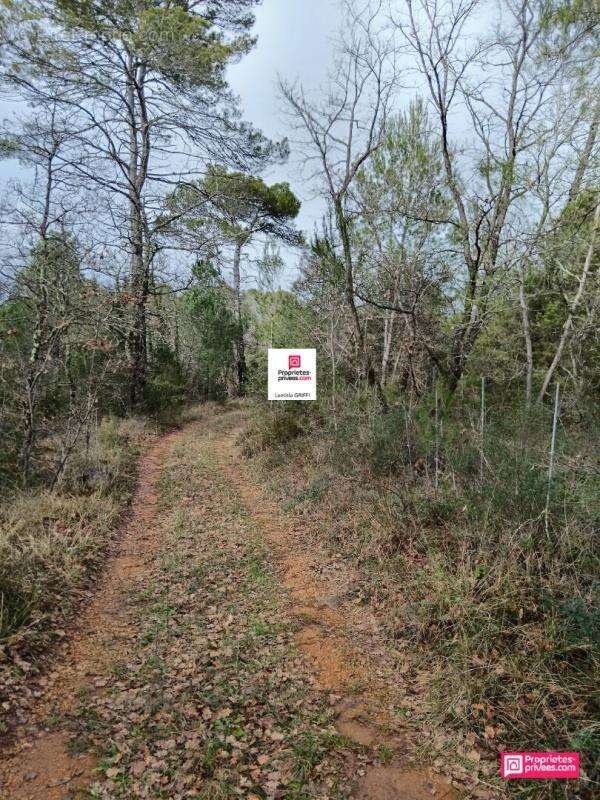 Terrain à SAINT-PAUL-EN-FORET