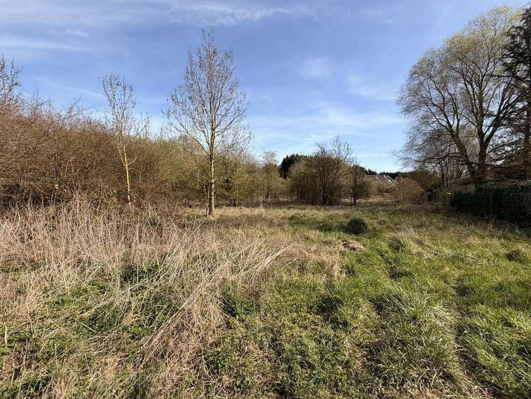 Idéal pour les promoteurs ou constructeurs - Terrain à BRUYERES-ET-MONTBERAULT