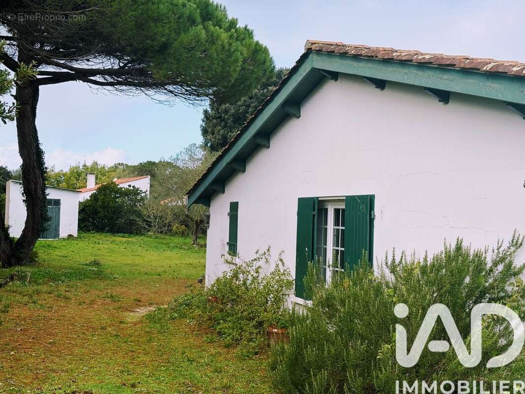 Photo 8 - Maison à SAINT-GEORGES-D'OLERON