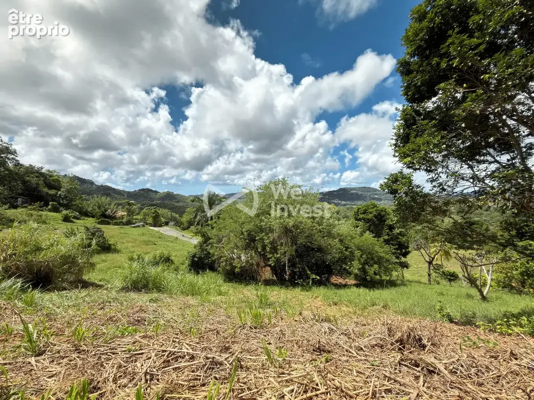 Terrain 973 m² à vendre à Le Vauclin (97280) - photo 6