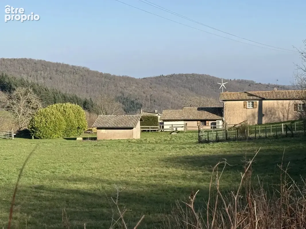 25 min macon - vauxrenard - beaujolais vert -  propriete de campagne - photo 1