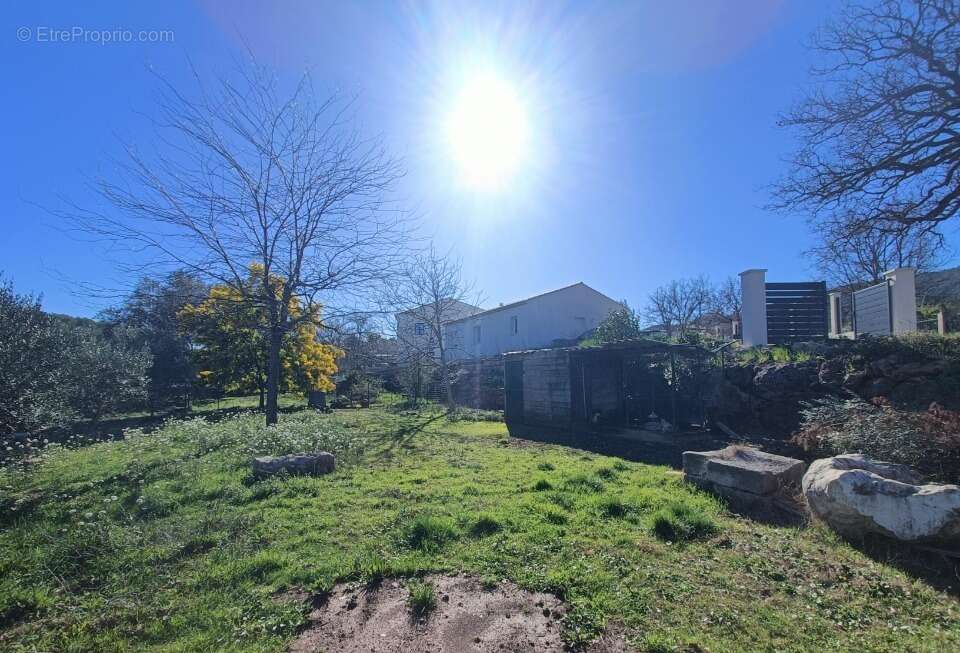 Terrain à LE THORONET