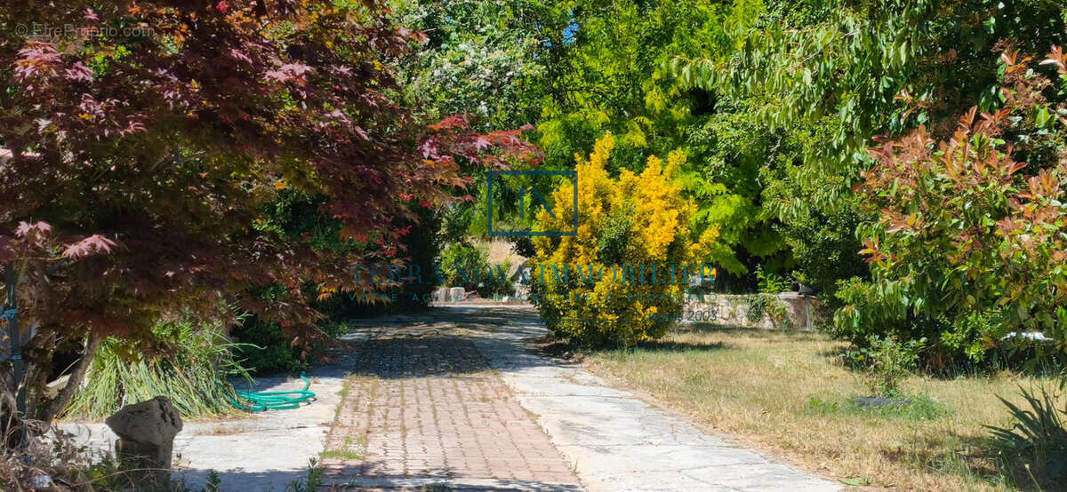 Propriété au cœur de l'Alta Rocca - photo 2