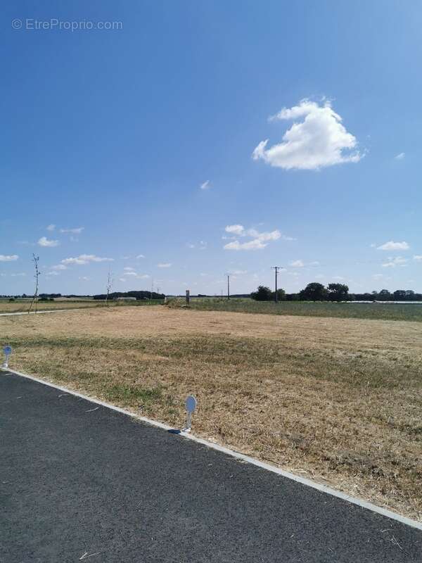 Terrain 300 m² à Nieulle-Sur-Seudre  - photo 3