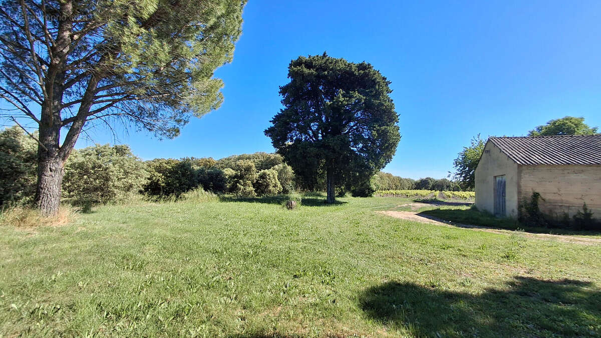 EXCLUXIVITÉ- RARE un Mas en grande partie à restaurer sur 8has de terrain - photo 6