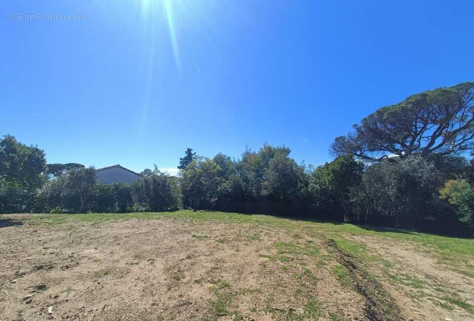 Terrain 705 m² à Les Issambres  - photo 2