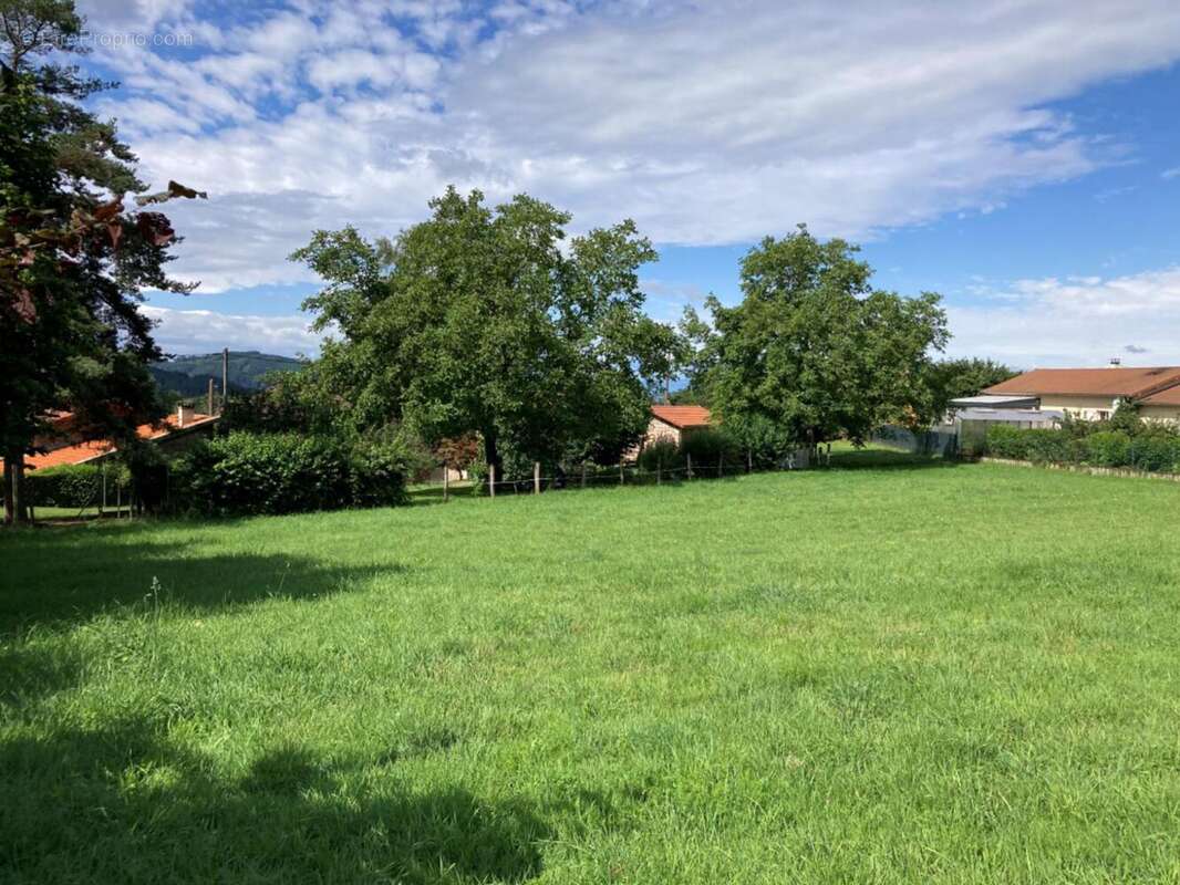 Photo 3 - Terrain à BELMONT-DE-LA-LOIRE