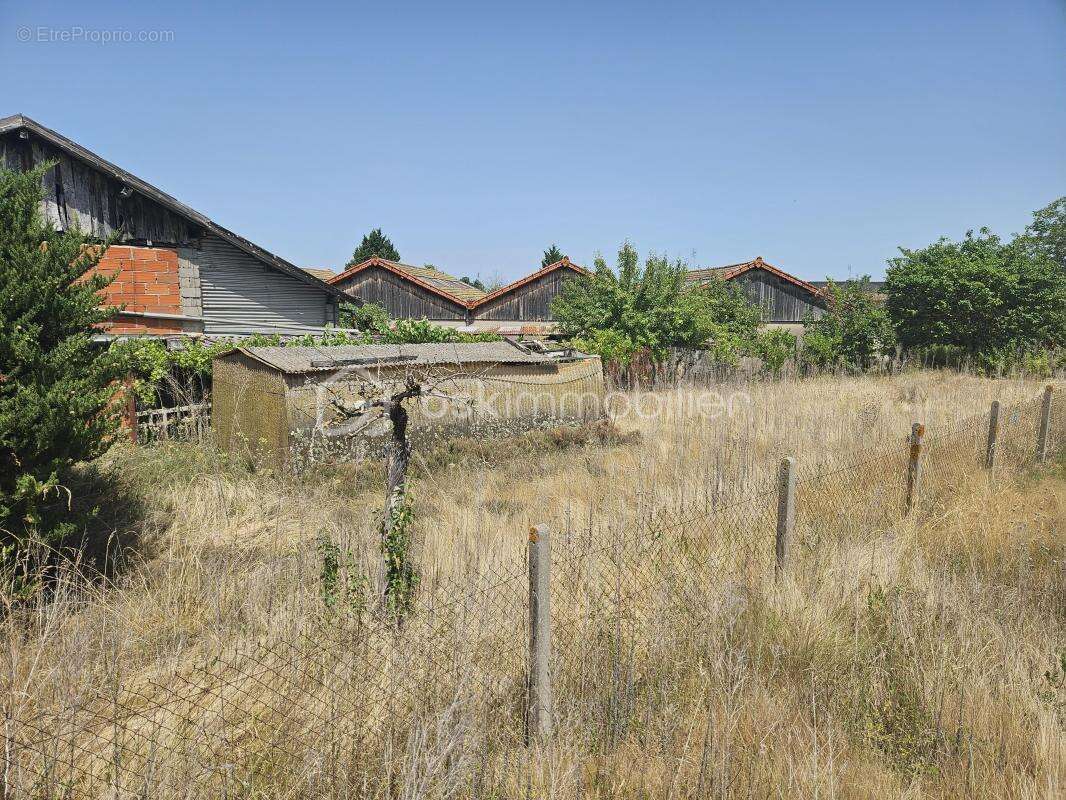 Terrain à LA PACAUDIERE