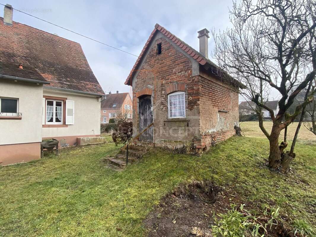 Maison à RIEDSELTZ
