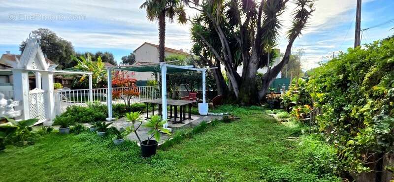 Maison à SANTA-LUCIA-DI-MORIANI