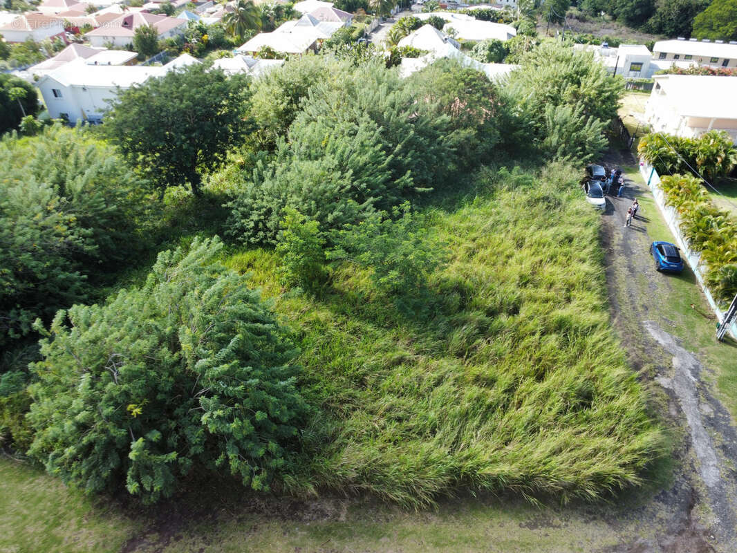 Terrain à SAINT-PIERRE