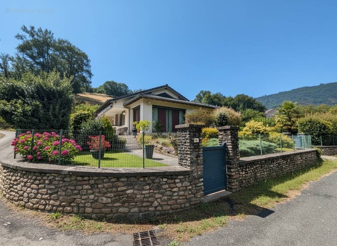 Maison à VIEILLEVIE