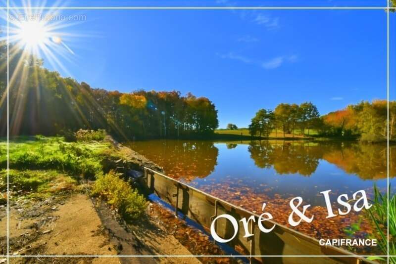 Terrain à SAINT-DESIRE