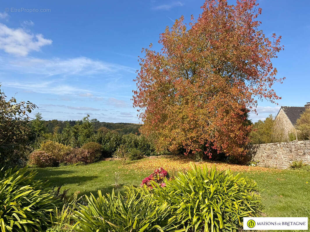 Maison à MOELAN-SUR-MER
