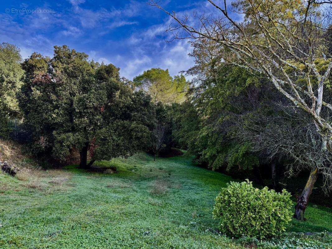 Maison à L&#039;ISLE-SUR-LA-SORGUE