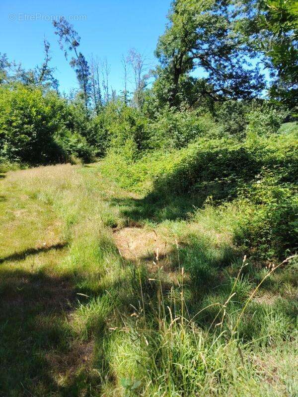 A 20kms des villes de QUIMPERLE et LORIENT, Maison de 134m2  - (160m2 au sol)  - sur environ 2,8 hectares ! - photo 16