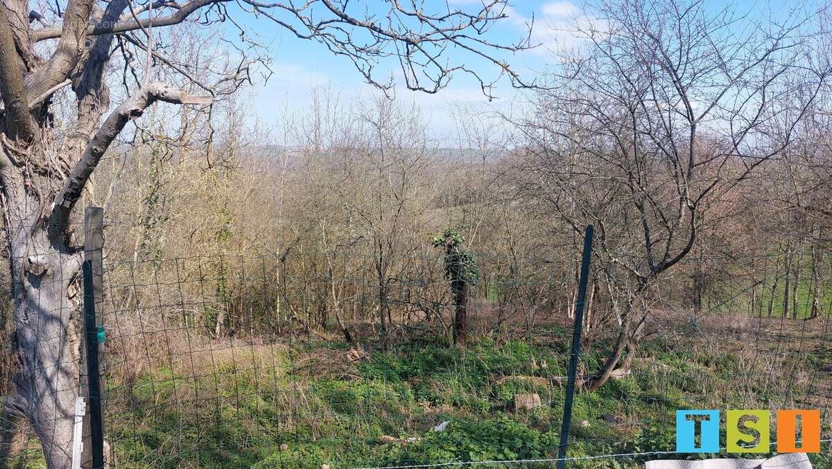 Maison à BOULOGNE-SUR-GESSE