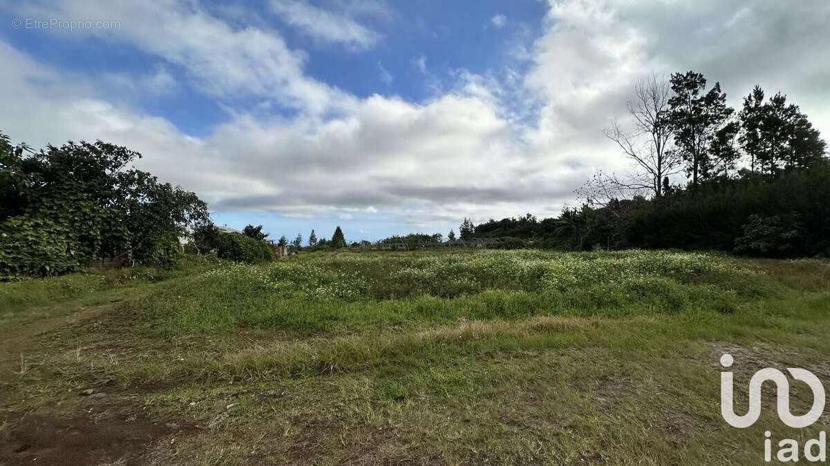 Photo 3 - Terrain à SAINT-PIERRE