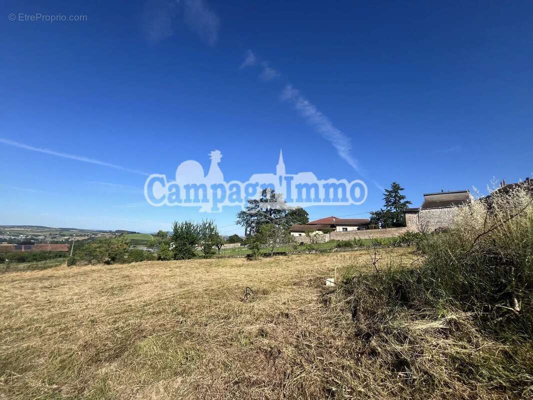 Terrain à SAINT-ROMAIN-DE-POPEY