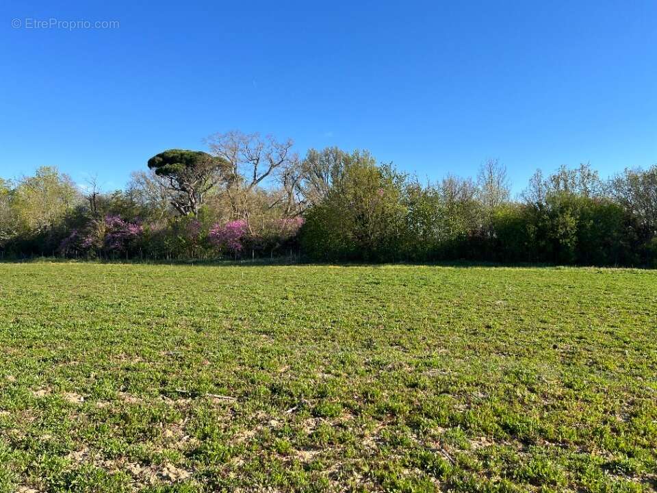Terrain à LABASTIDE-D'ANJOU