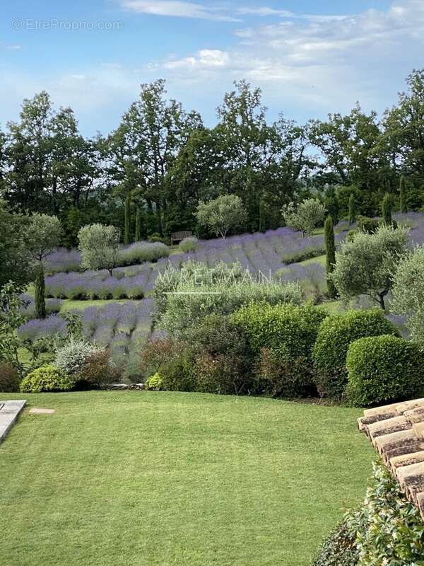Magnifique propriété - Saint Vallier de Thiey - photo 6