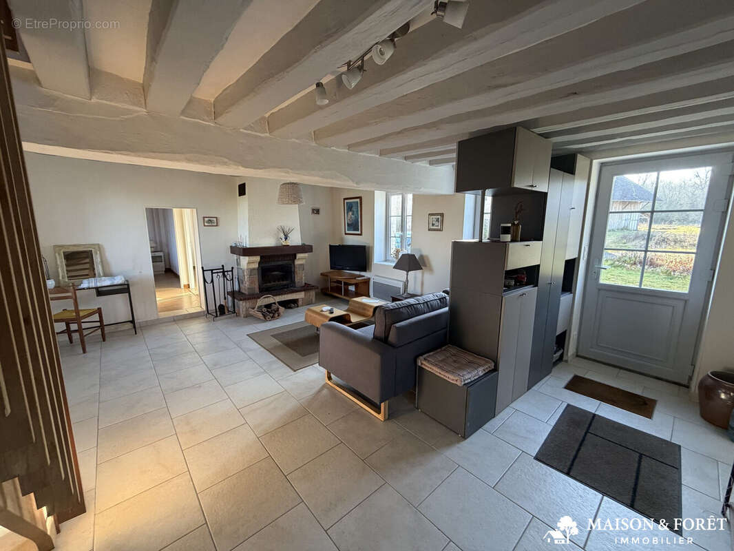 Maison à OUZOUER-SUR-TREZEE