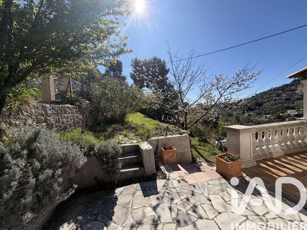 Photo 5 - Maison à FALICON